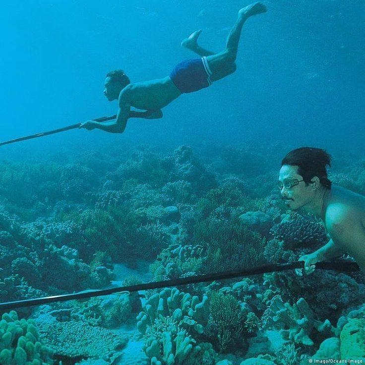 Bajau