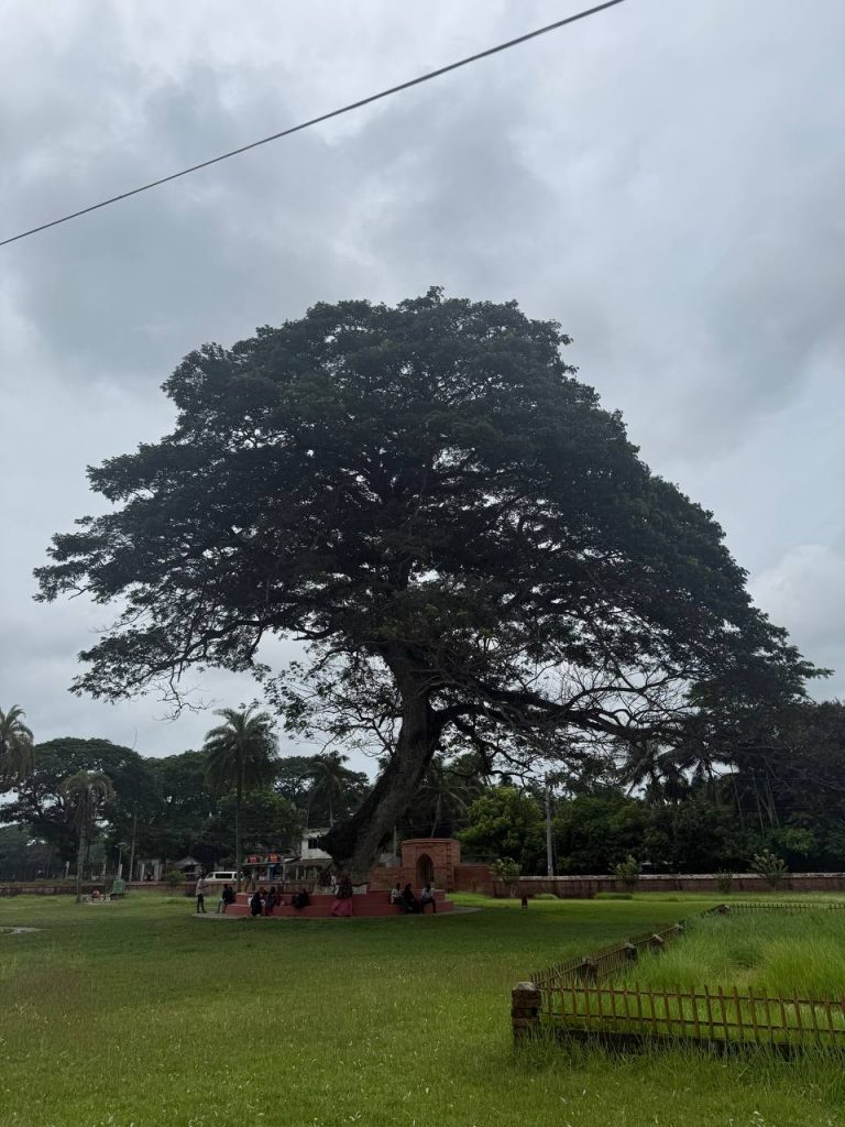 Bagherat