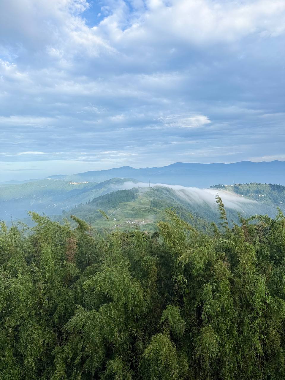 Tiger Hill