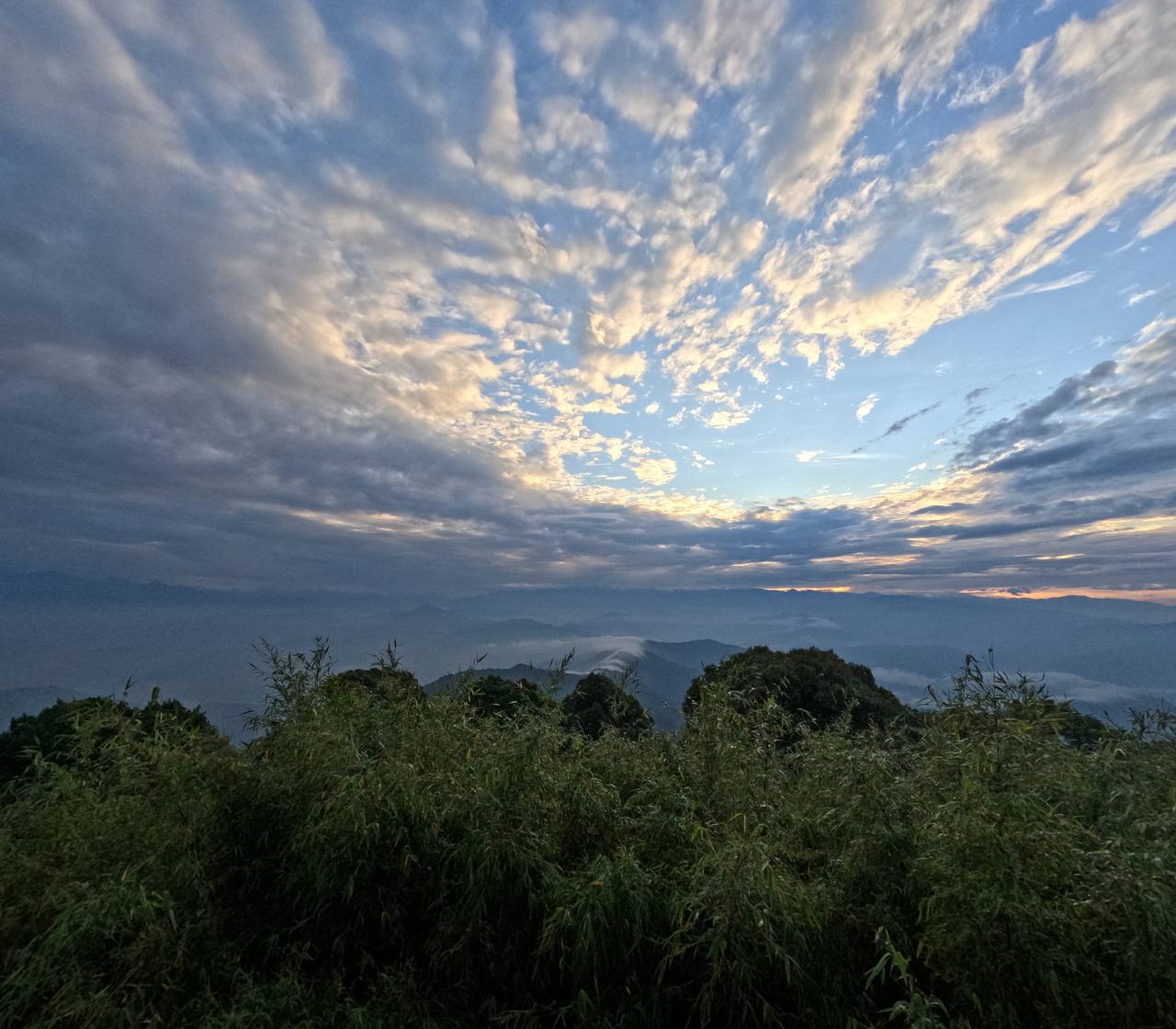 Tiger Hill