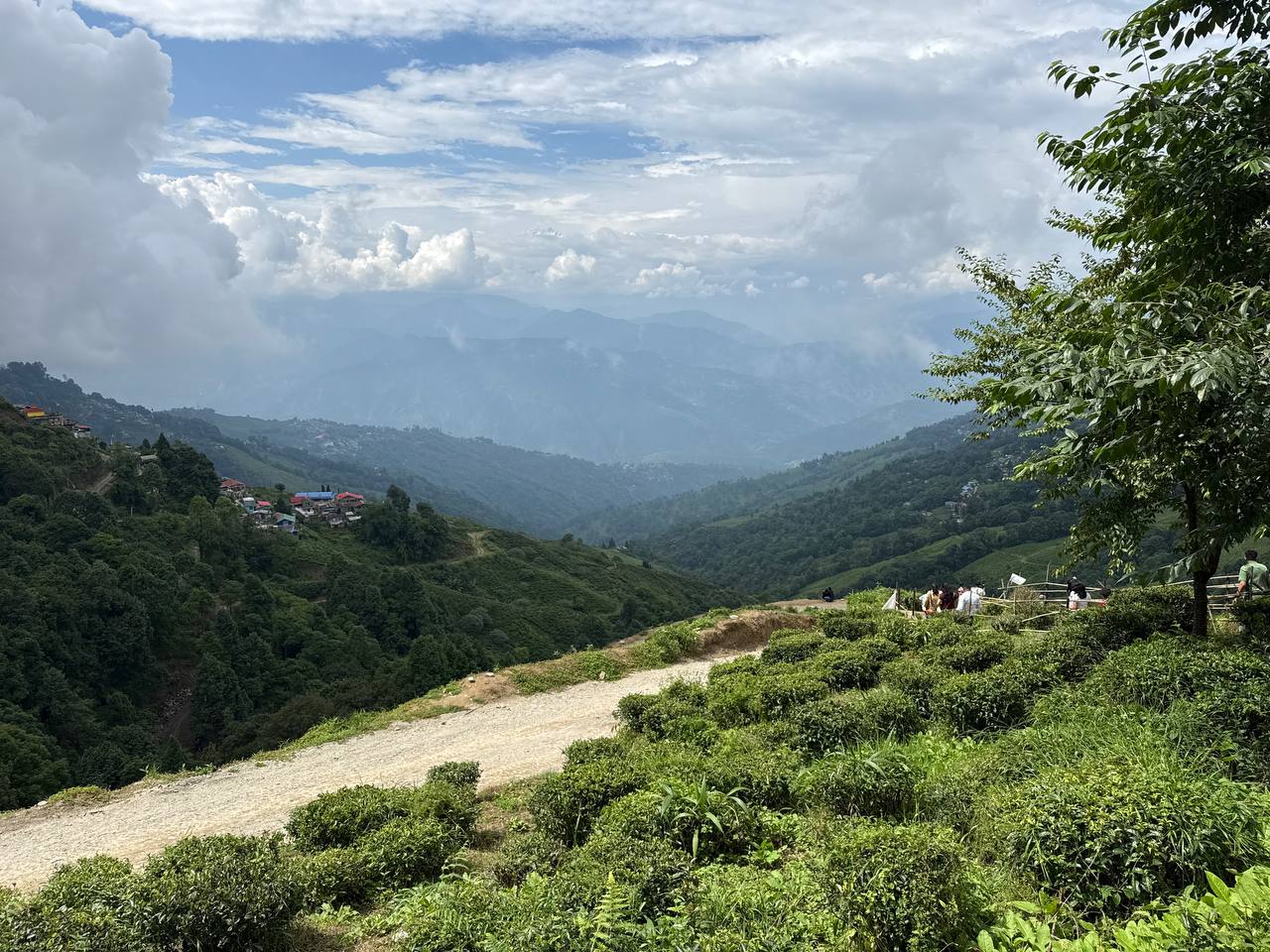 Darjeeling Guide