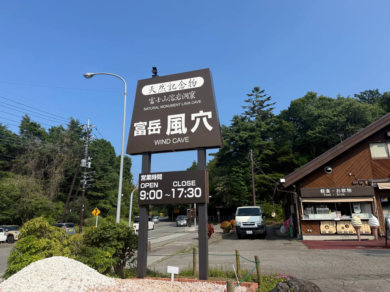 Aokigahara 