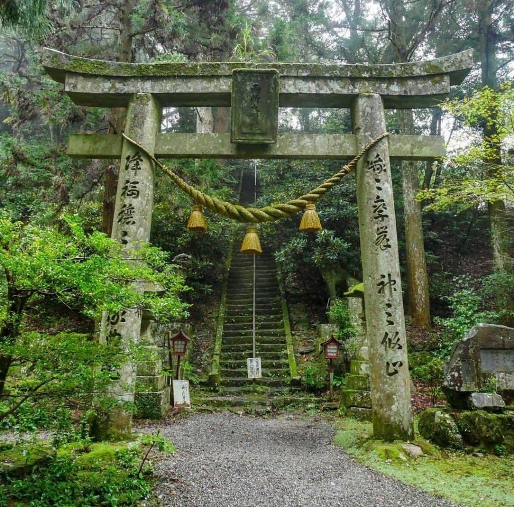 Aokigahara 