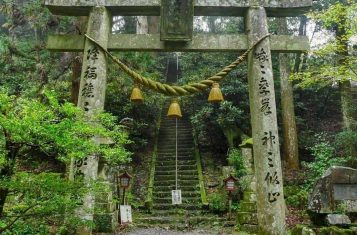 Aokigahara