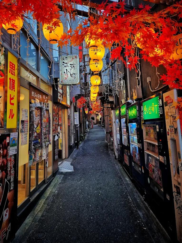 Shinjuku Guide
