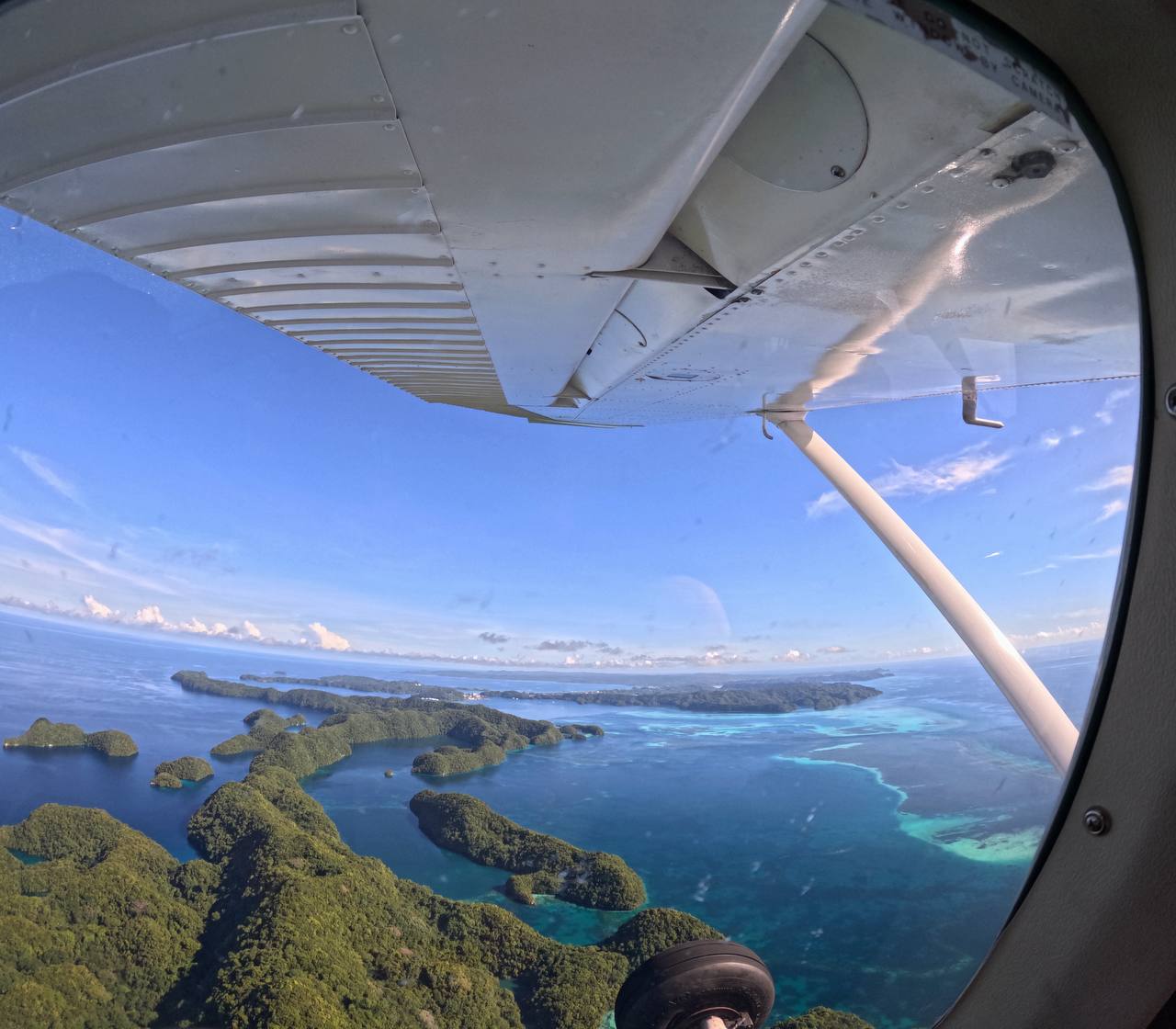 Joyride in Palau
