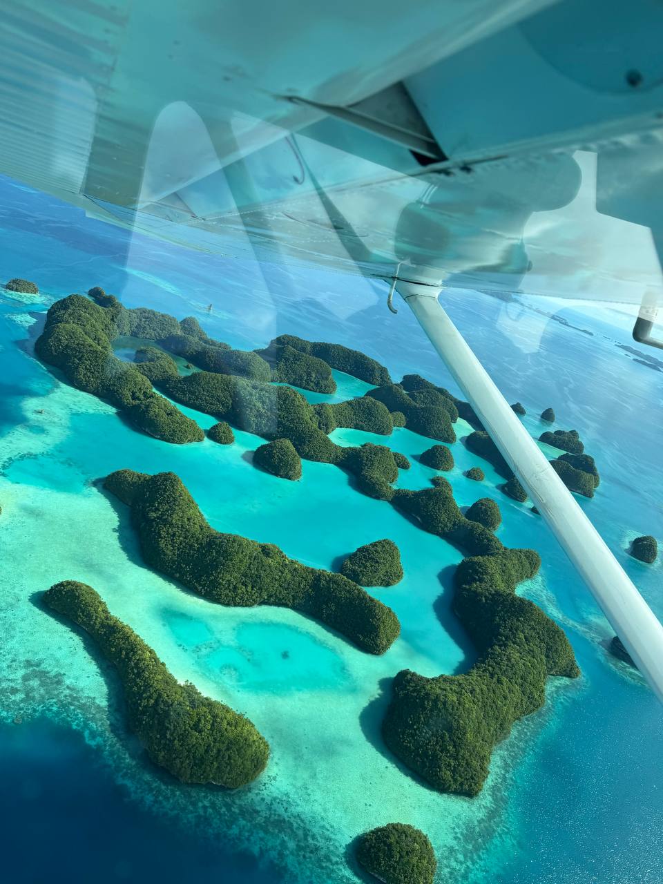 Joyride in Palau