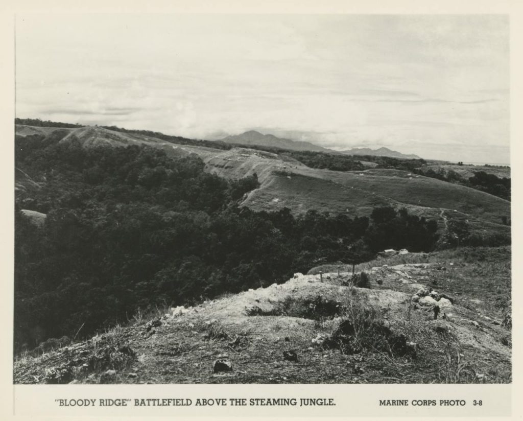 Bloody Ridge
