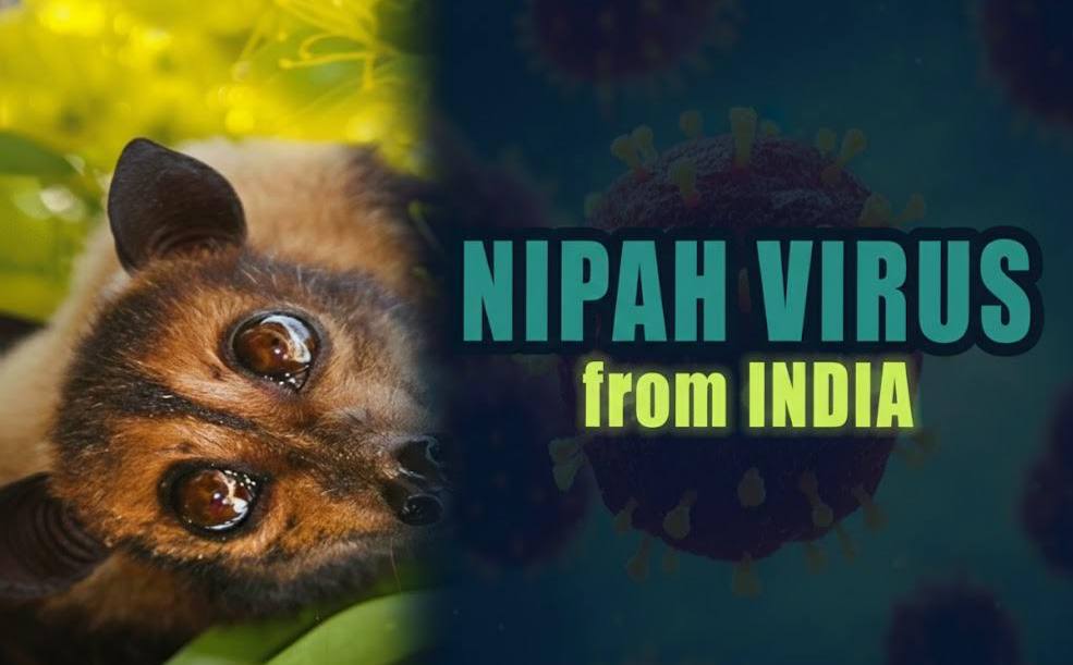 Nipah Virus 
