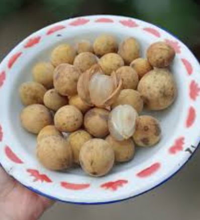 Langsat fruit