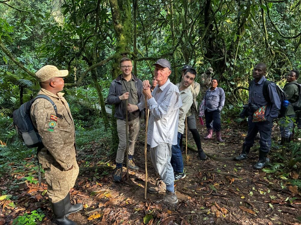 Uganda UNESCO World Heritage Sites Bwindi Impenetrable National Park