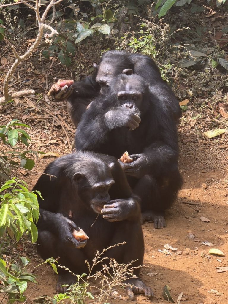 Sierra Leone tours YPT