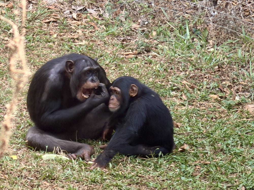 Sierra Leone tours YPT