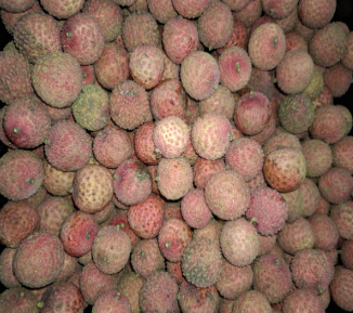 Lychee