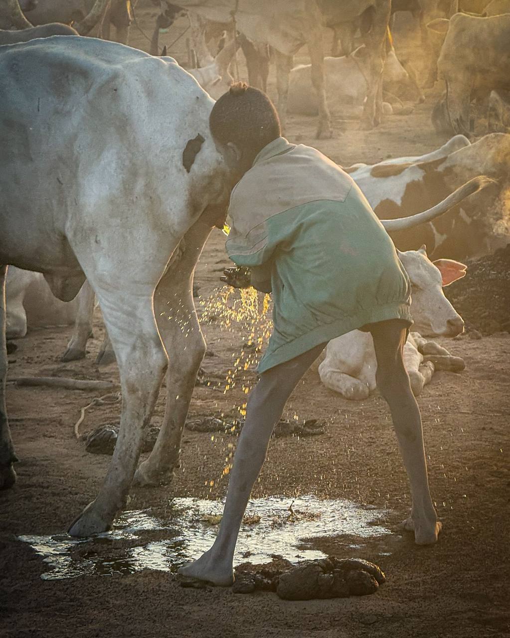 South Sudanese Cuisine
